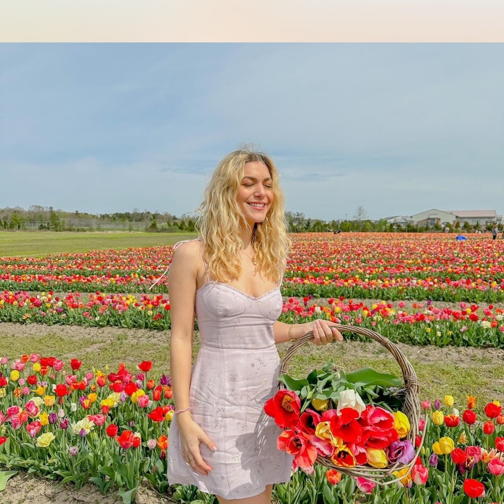 Aritzia Wilfred Light Purple Fable Floral Mini Dress